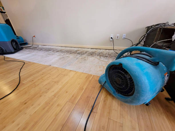 Professional Structural Drying technician working in Zumbrota, MN